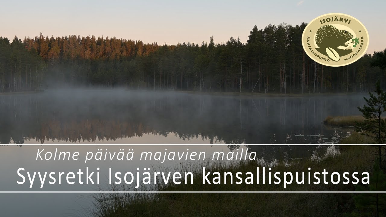 Kolme päivää majavien mailla - rauhallinen ja rentouttava syysretki Isojärven kansallispuistossa.