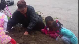 Teaching the Children Gardening