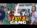 New haven ct gang war  exit 8  honcho gang the gang  that spinned their ops to no end