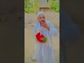 الحاسودي حسد البطيخه قسمها نصين 