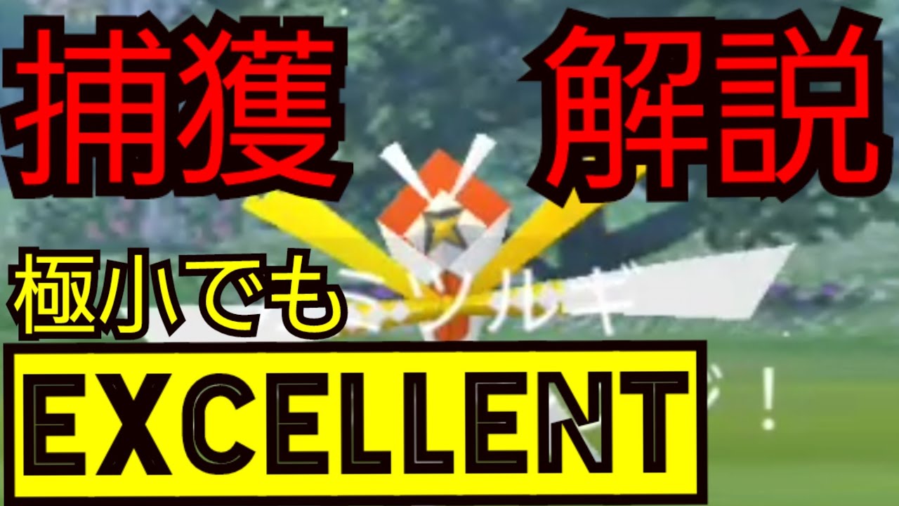 カミツルギ 復活 捕獲解説 極小excellentを取るコツを解説 ポケモンgo Youtube