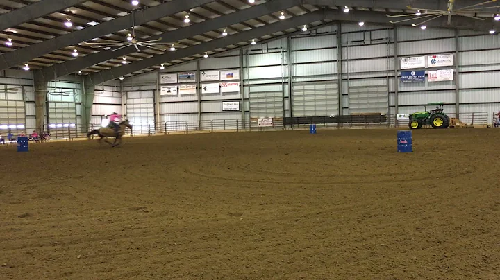 Holly Bowman State Show