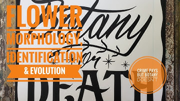 FLOWER MORPHOLOGY, TAXONOMY & EVOLUTION Class (LONG VID)