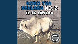 Saole