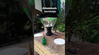 Solar Gate Light installed.
