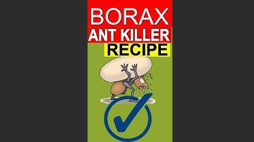 Ant Killer - Borax and Sugar DIY Ant Baits