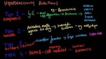 Hypersensitivity Reactions in 4 Minutes - Pharmacology for Finals