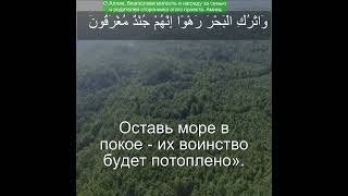 Коран Сура Ад-Духан | 44:24 |Чтение Корана с русским переводом | Quran Translation Surah Ad Dukhan