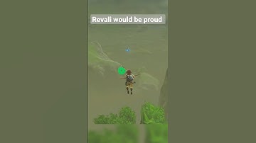 Link learns to fly without the paraglider. #zelda #botw #nintendo #switch