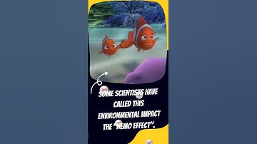 No more clownfish in the ocean??? #movietrivia #movies #nemo #findingnemo #animation #pixar #disney