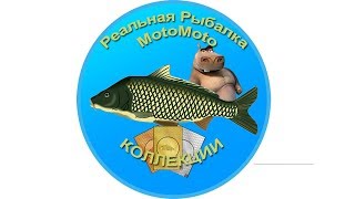 Коллекции [АРХИВ] | Реальная Рыбалка