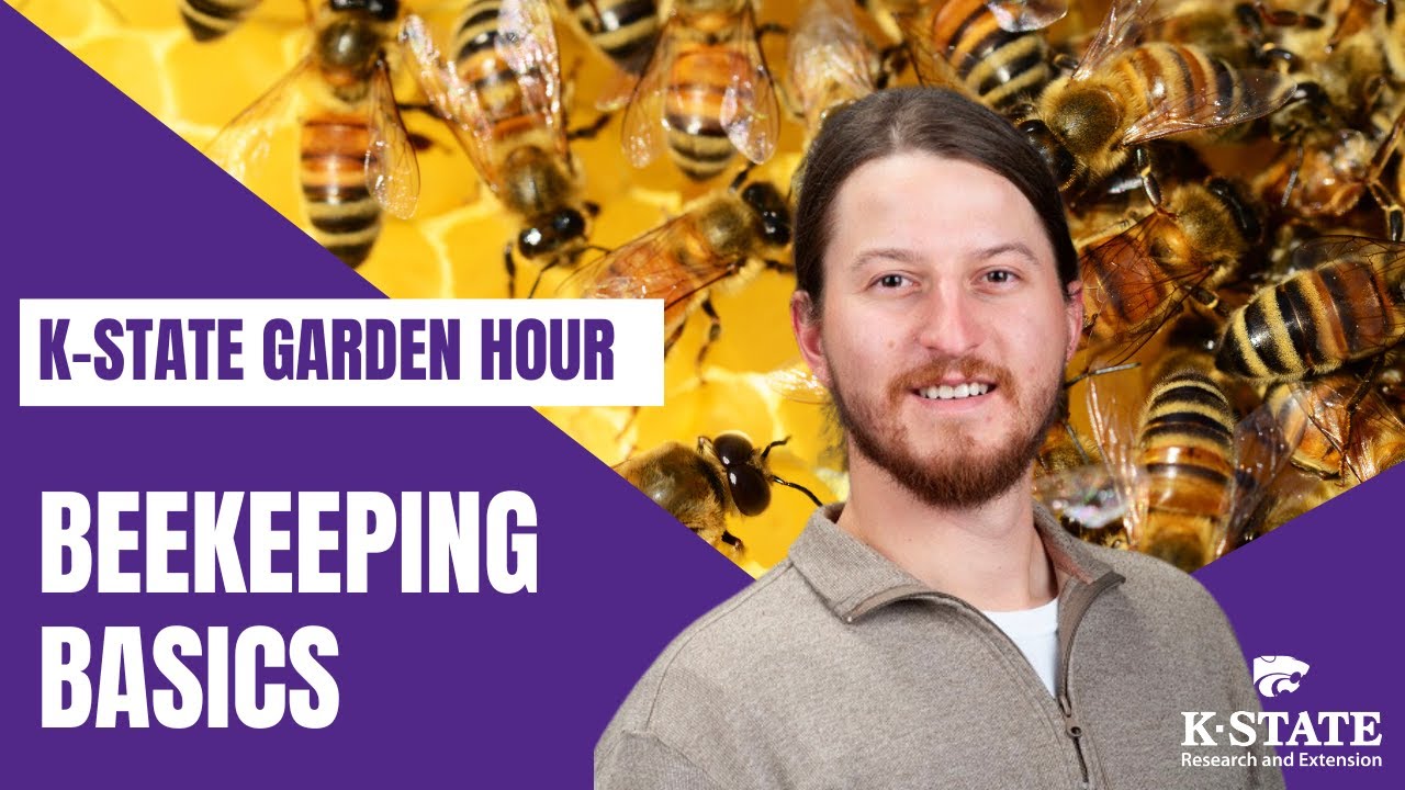 K-State Garden Hour: Beekeeping Basics - How to Start Your Own Colony ...