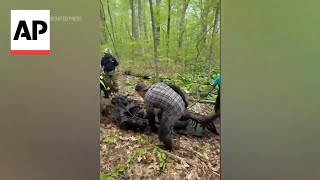 Rescuers free 2 horses stuck in mud in Connecticut
