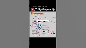Perceptrón #cienciadedatos #ia #machinelearning #ciencia #datascience #matematicas #deeplearning