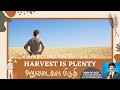 அறுவடை மிகுதி | HARVEST IS PLENTY | P.J.Stephen Paul Tamil Messages |