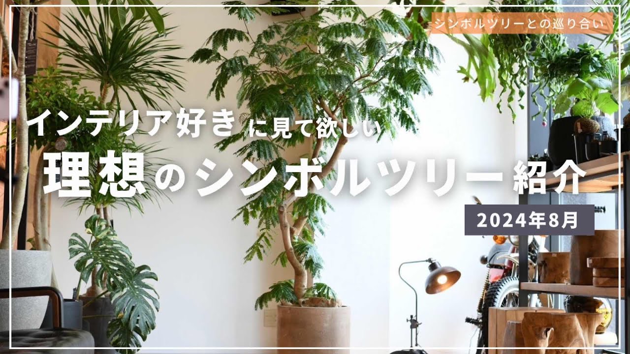 Encountering a Symbol Tree] Introducing the Ideal Houseplants