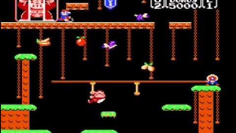 Donkey Kong Jr.: No Damage; Game B