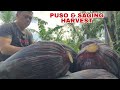 PERA DIN: PUSO NG SAGING | Biyaherong Batangueno