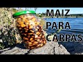 Como preparar maiz para pescar carpas y bogas  muy facil y rapido