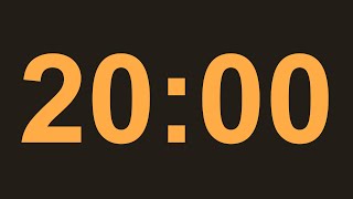 20 Minute Timer | 20 Min TIMER Light ORANGE on Eerie Black