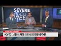 Severe Weather Week | Integrating pets into your severe weather plan