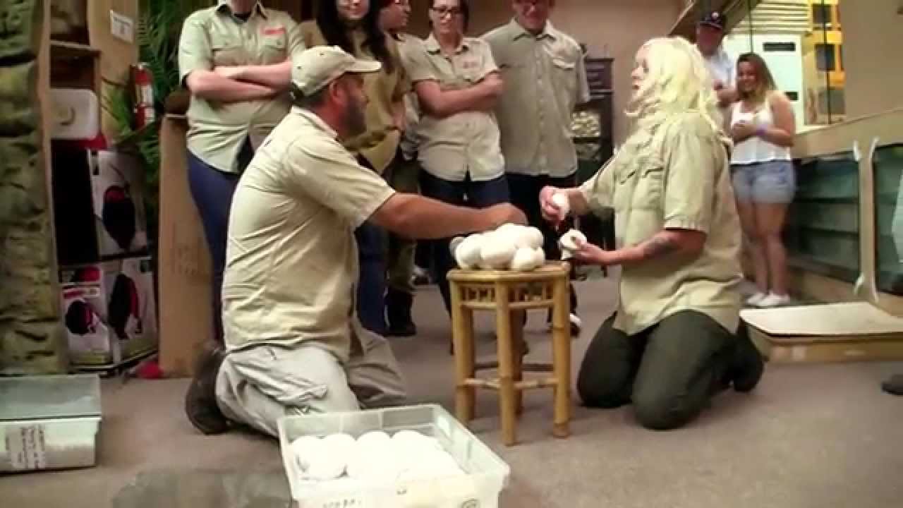 petco hours Watch Your Back Homegirl!