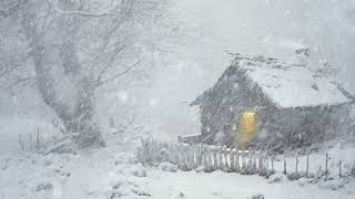 Cozy Winter Ambience & Frosty Wind Sound for Sleeping | Snow Storm Sleep Sounds to Reduce Stress by Rose Wind 3,728 views 2 weeks ago 24 hours