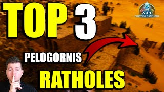TOP 3 Pelogornis Ratholes in Ragnarok | Dream Base Locations PVP | Ark Survival Ascended