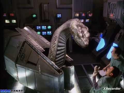 Python 2 A Cobra Assassina é um filme bem legal - YouTube