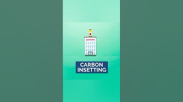 What is Insetting? | ClimeCo Insights for Impact