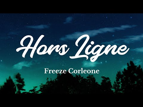 Freeze Corleone 667 - Hors Ligne (Lyrics/Paroles)