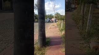 #de paseo por la ciénega de Tlaxcala en Ayotlan Jalisco México mostrando k ya casi son las fiestas#