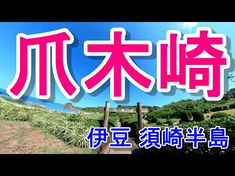 伊豆半島 爪木崎 須崎半島 伊豆ツーリング Youtube 伊豆半島 爪木崎 須崎半島 伊豆ツーリング Youtube