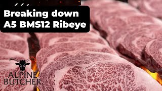 Breaking down the highest grade Wagyu in the world A5 BMS12