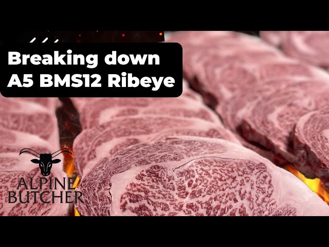 和牛JB WAGYU JB Baseball Hard Glove Infield JB-006 11.5inch Made in JAPAN