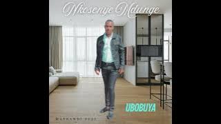Nkosenye Ndunge  Dlozilami