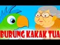 Burung kakak tua  lagu kanakkanak melayu malaysia