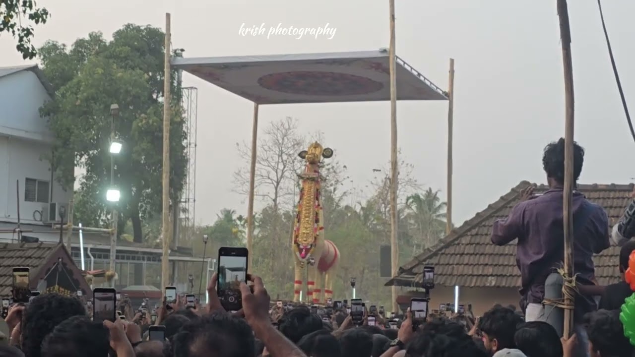 മച്ചാട് മാമാങ്കം കുതിര വേല  part 2#ulsavam #festival 