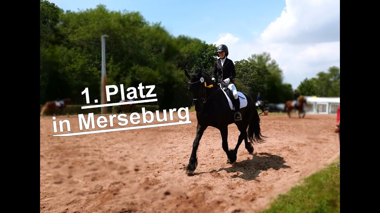 1. Platz in der E-Dressur (E5) mit einer 7,7 - YouTube