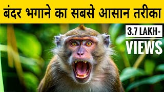 Bandar ko kese Bhagaye | How to get rid of Monkeys | Live boy |#viralvideo #yt #youtube #lazerlight