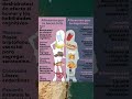 Los Buenos Alimentos y Los Malos Alimentos #shorts