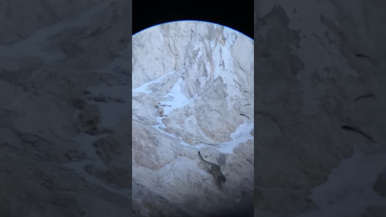 #дикаяприрода