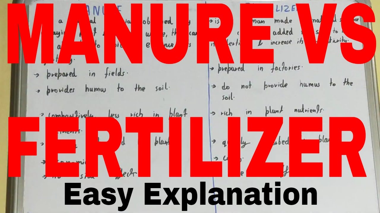 Manure Vs Fertilizer difference Between Manure And Fertilizers manure manure-vs-fertilizer-difference-between-manure-and-fertilizers-manure