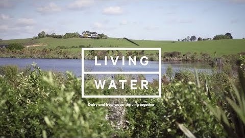 Trialling Floating Wetlands