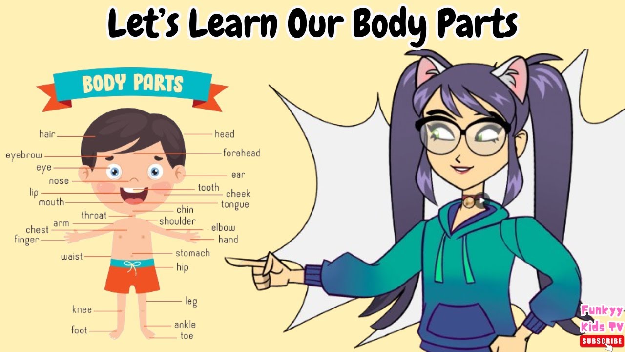 Let's Learn About Body Parts| Fun Educational Video for Kids🌟👦👧| Funkyy ...
