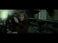 Harry potter 8  molly weasley vs bellatrix lestrange vf