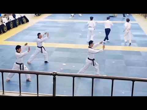 Kukkiwon Taekwondo 7th dan testing #taekwondo #kukkiwon #taekwondo7thdan