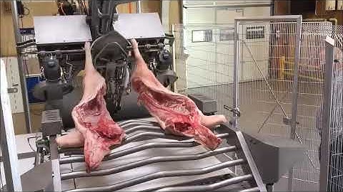 ITEC / ATTEC automatic primal cutting line