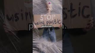 Career Overview Beehive Paper Wrap  The Eco Friendly Bubble Wrap Revolution !