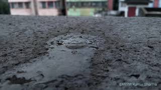 Time-lapse || Ice crystal || Untitled 3||